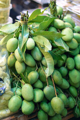 Light mango of Thailand
