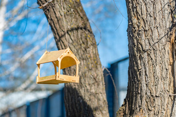 a beautiful wooden, handmade bird feeder hangs high on a tree in a city park near residential buildings in the spring season