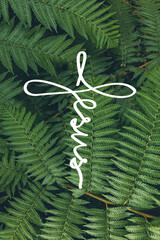 Background Natural green fern with font jesus