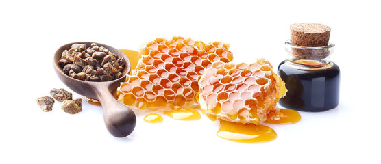 Honeycombs with propolis tincture on white background