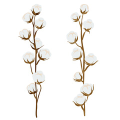 twigs of cotton on the white background