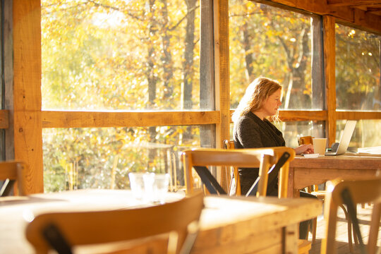 Female business owner working at laptop in sunny autumn cafe