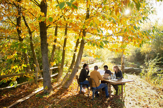 Business people meeting at table in sunny idyllic autumn park
