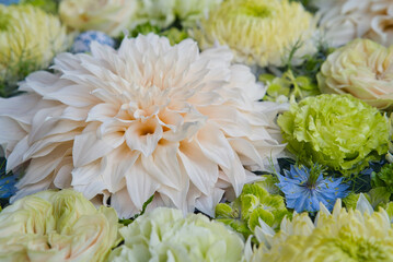 日本の景色と花々／Japanese landscape and flowers.