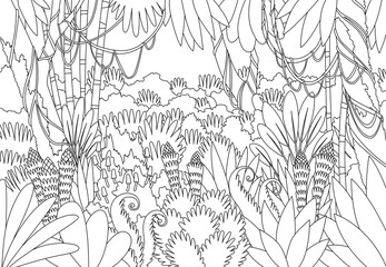 Fototapeta premium Tropical Jungle Dark Background, Forest, Rainforest, Plant. cartoon illustration of background morning jungle. Hand drawn branches and leaves of tropical plants. Black and white sketch