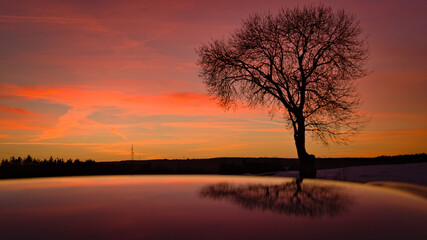 Fototapeta na wymiar Cudowne drzewo o przepięknym zachodzie słońca.