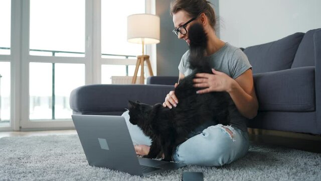 Casually dressed woman sits on a carpet with a laptop, holds on her knees and strokes a fluffy cat and works in a cozy room. Remote work outside the office.