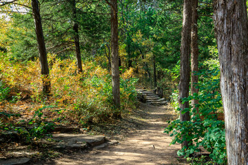 Forest trail at Roman Nose State Park, Watonga, Oklahoma, USA