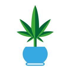 Isolated cannabis natural medicine pot