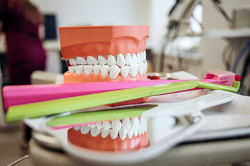 Teeth model with dental tools and toothbrushes mirror