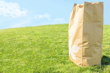 Brown craft paper bag for yard waste place on green grass field against bright cloudy blue sky background, depth of field. Trash management with eco friendly environment concept with copy space.