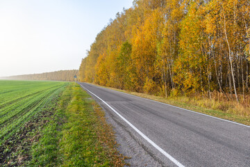 Fototapeta na wymiar country road in autumn between a cereal field and a birch grove