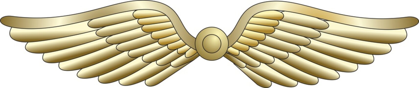 Golden metal wings, air Force insignia on a white background. Vector image.