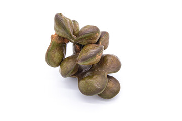 Djenkol bean or luk nieng fruit tropical plant on white background
