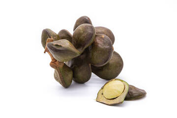 Djenkol bean or luk nieng fruit tropical plant on white background
