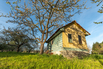 Fototapeta na wymiar Small garden hut in an orchard blossoms in spring.