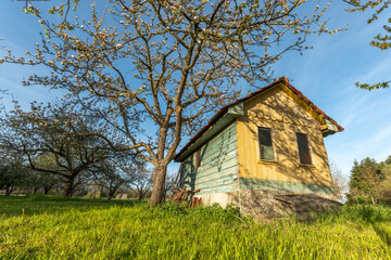 Small garden hut in an orchard blossoms in spring.