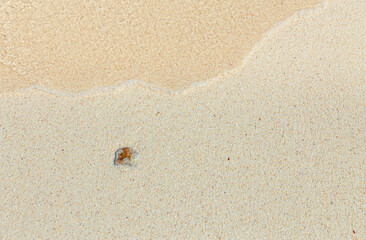 Soft blue ocean wave on clean sandy beach

