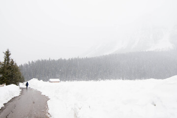 Young person seen from her back walking on a snowy day. Wooden house and forest in the background. Banff National Park, Alberta, Canada
