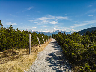 Fototapeta na wymiar Sentiero Alpe di Villandro, Alto-Adige, Dolomiti