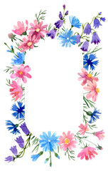 Wild flowers oval border: pink cosmos flower, chicory, bluebell, blue cornflower. Hand drawn watercolor illustration. Isolated on white background