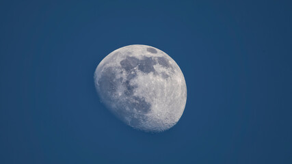 Moon on a background of blue sky.