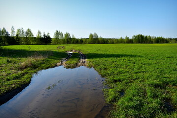 big puddle in the meadow in spring
