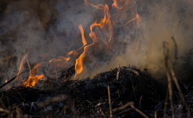 dangerous burning of old grass and foliage in the field