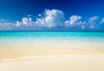 Obraz premium beautiful blue caribbean sea beach