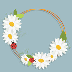 chamomile with frame