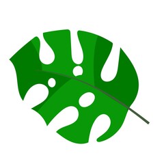 Simple doodle of a plant. Leaf from a tree. Vector illustration isolated on white background. hand-drawn.