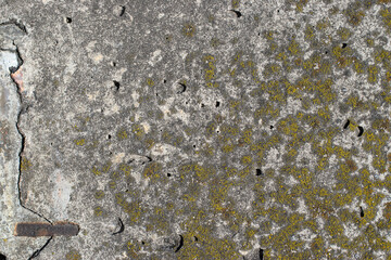 Grunge abstract surface with green moss, weathered concrete wall. Beton structure texture