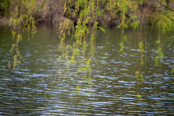 Bor Lake artificial lake in eastern Serbia near the city of Bor