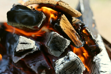 Burning wood, beautiful flames