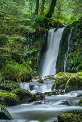 Forest Waterfall in Wicklow