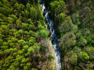 Road in Forest. Top Down Aerial Drone View