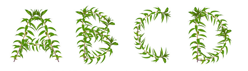 Letters A, B, C, D made of green plants