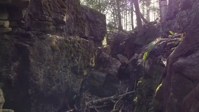 Exploring the features of a narrow limestone gully in a forest