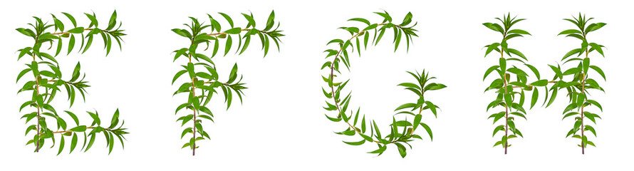 Letters E, F, G, H made of green plants