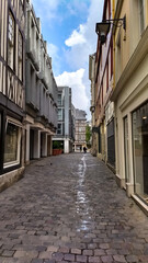 Obraz premium Cobblestone Street in Rouen, France