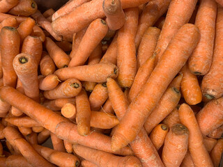 Lots of carrots on the counter. Closeup