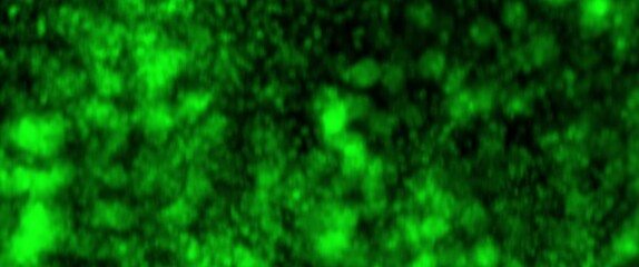 green looping animated