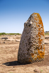 Nuragic Complex of Tamuli on Sardinia