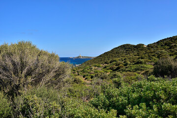 Typical landscape with evergreen maquis and pure lazur coast on the Spanish Tower and the beach Mare Pintau in Sardinia, Italy.