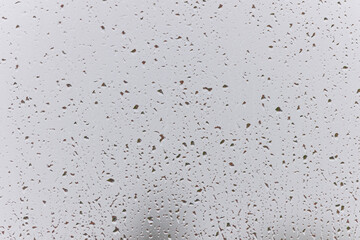 Rain drops on a window pane