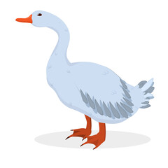 vector illustration of a gray goose isolated on a white background