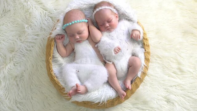 4K newborn twins - a girl's sleeping in a basket