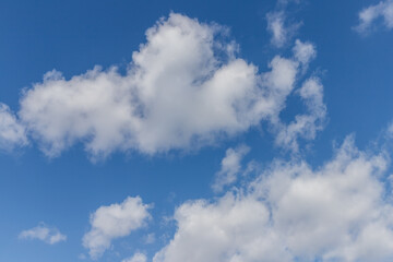 Naklejka na ściany i meble 青い空に浮く綿のような雲、積雲