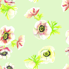 Seamless pattern of anemones on a turquoise background watercolor