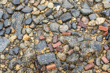 detail of wet stones at the beach with remaining of small living algae spots